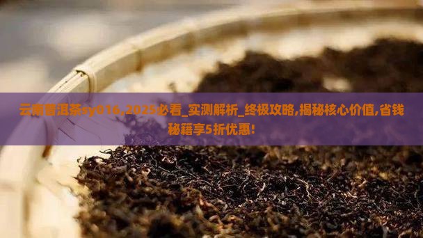 云南普洱茶sy016