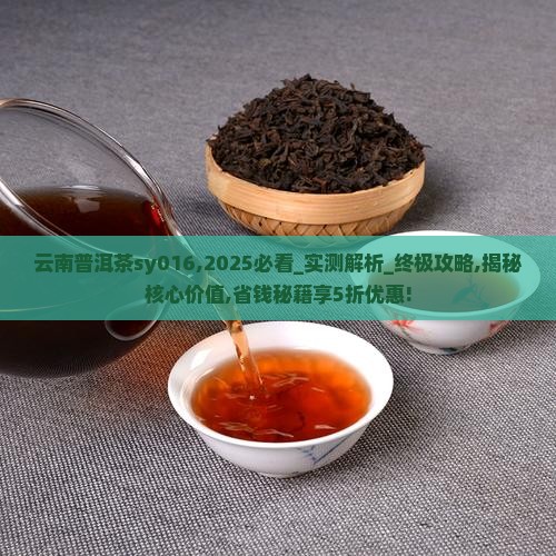 云南普洱茶sy016