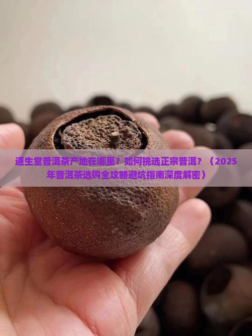 道生堂普洱茶产地