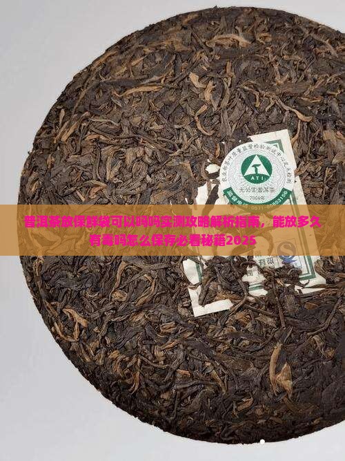 普洱茶放保鲜袋可以吗吗