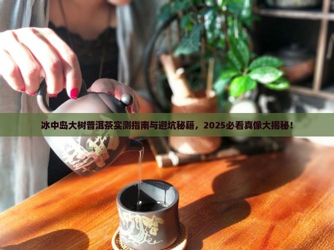 冰中岛大树普洱茶