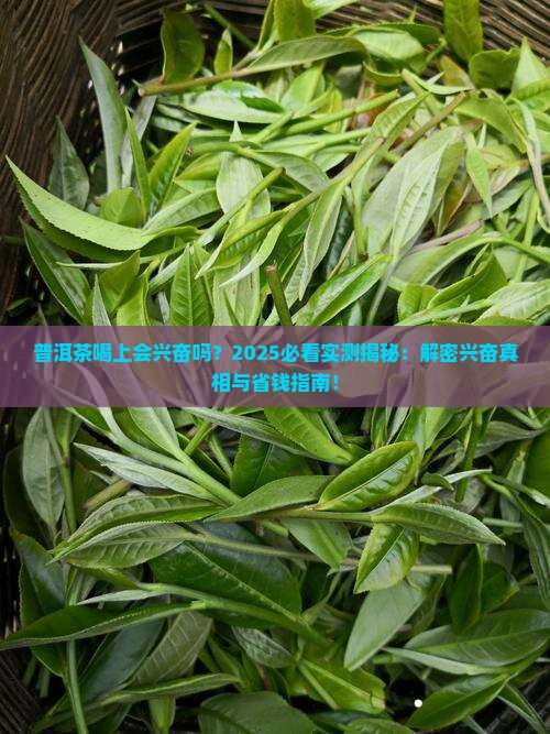 普洱茶喝上会兴奋吗