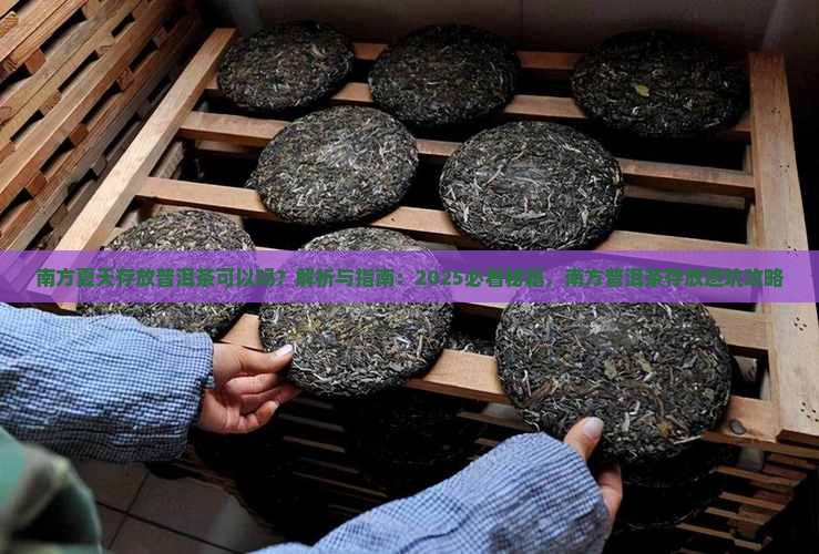 南方夏天存放普洱茶可以吗