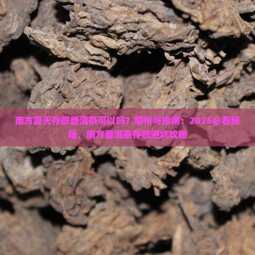 南方夏天存放普洱茶可以吗