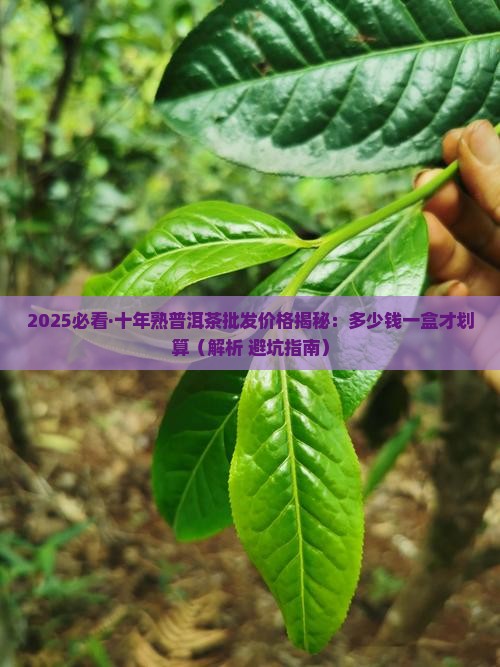 十年的熟普洱茶多少钱一盒