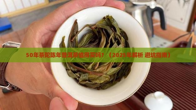 5O年茶陀陈年普洱茶