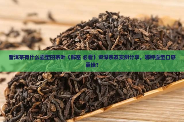 普洱茶有什么壶型的茶叶