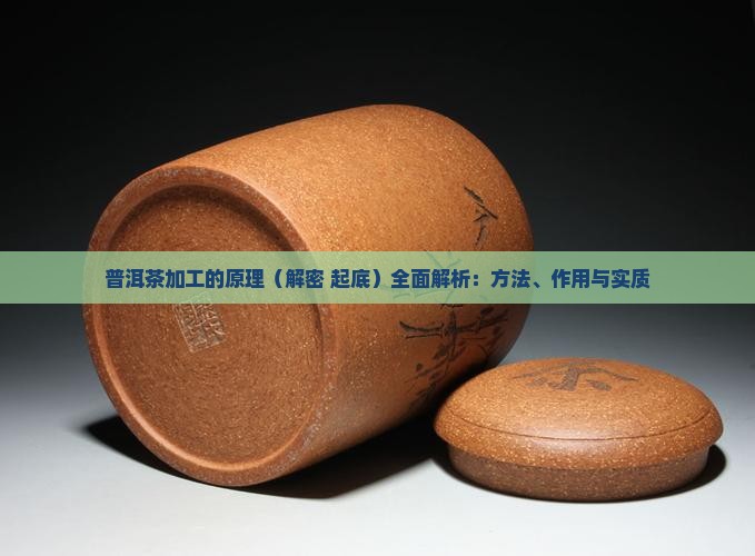 普洱茶加工的原理