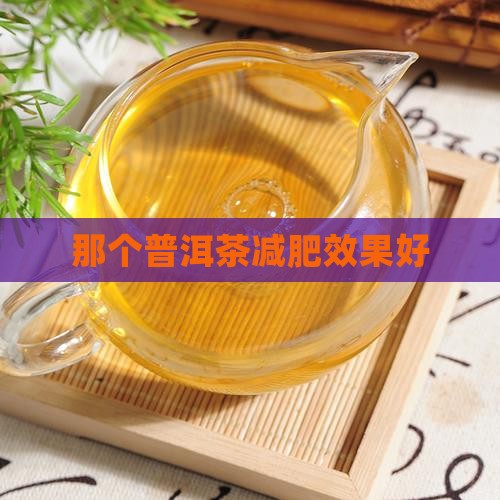 那个普洱茶减肥效果好 那个普洱茶减肥效果好