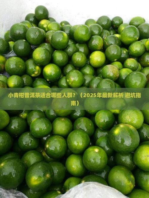 小青柑普洱茶适合什么人群
