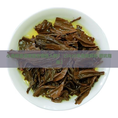小青柑普洱茶适合什么人群