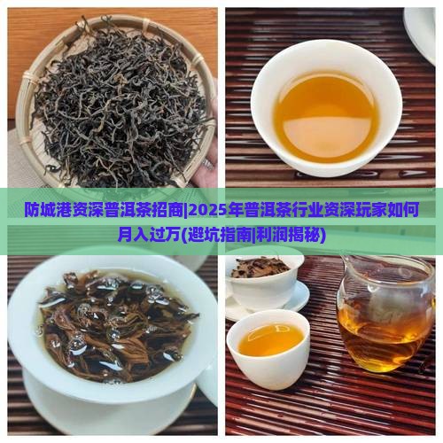防城港资深普洱茶招商
