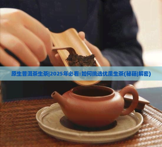 原生普洱茶生茶