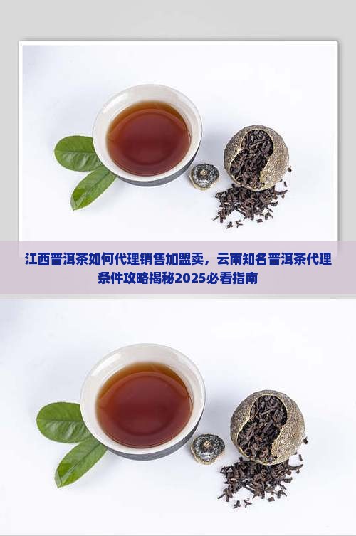 江西普洱茶如何代理