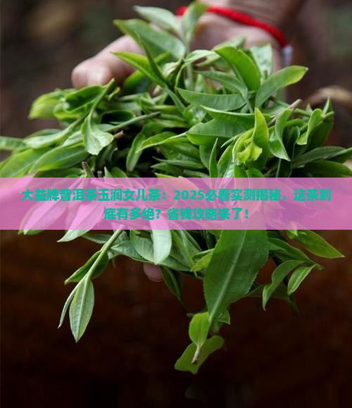 大益牌普洱茶玉润女儿茶