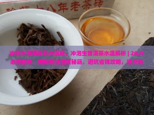 冲泡生普洱茶的水温度