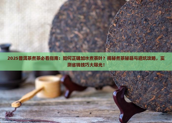 喝普洱茶如何加水煮茶叶