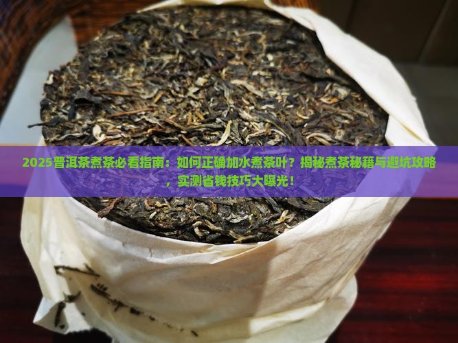 喝普洱茶如何加水煮茶叶