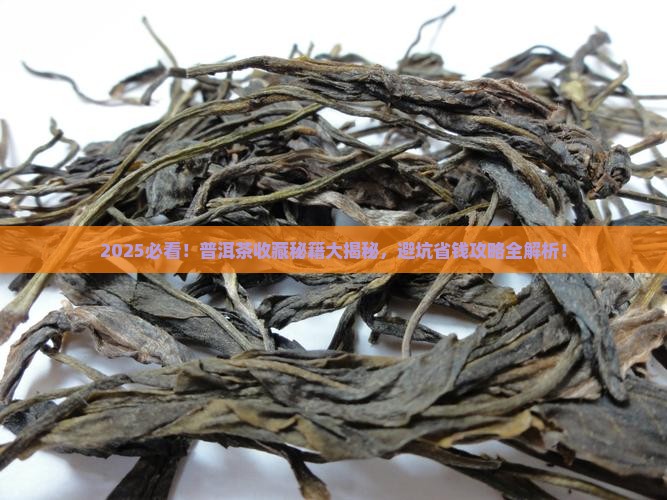 普洱茶怎样购买藏更好呢