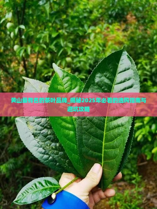黄山最有名的茶叶品牌