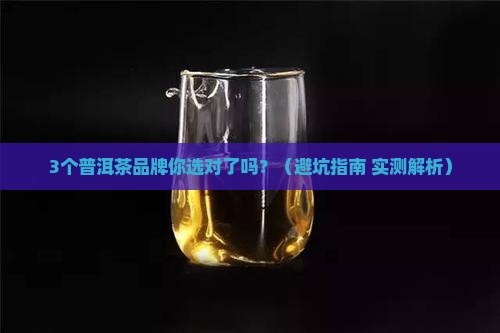 普洱茶计量单位有哪些品牌