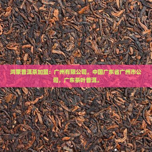 鸿蒙普洱茶加盟