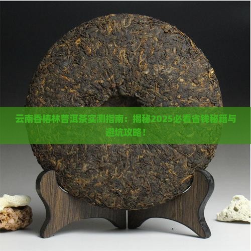 云南香椿林普洱茶