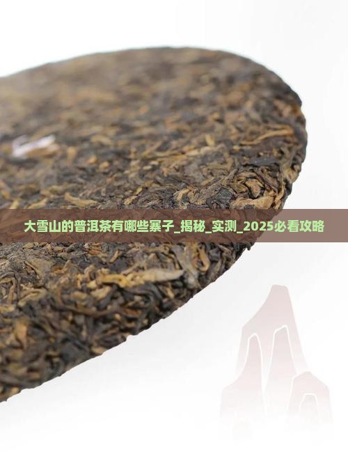 大雪山的普洱茶有哪些寨子