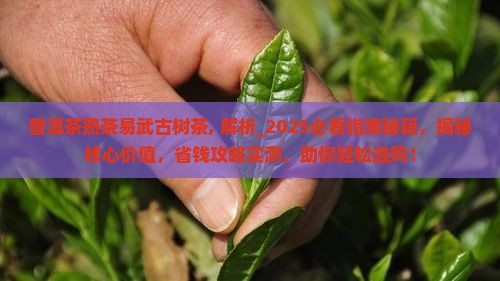 普洱茶熟茶易武古树茶