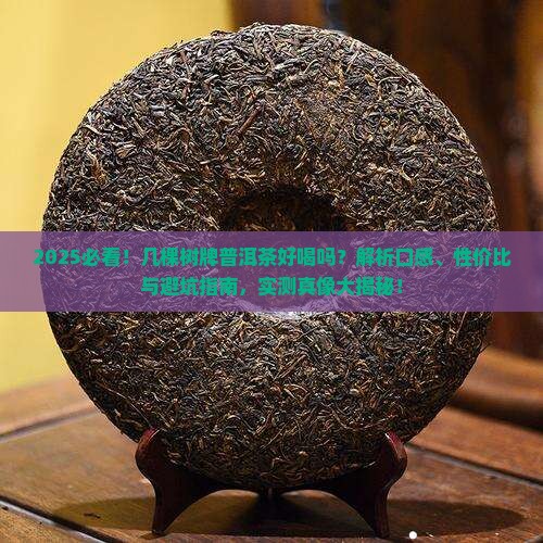 几棵树牌普洱茶好喝吗