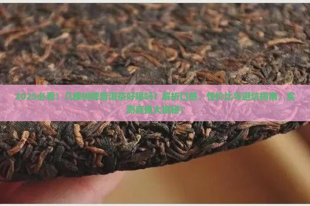 几棵树牌普洱茶好喝吗