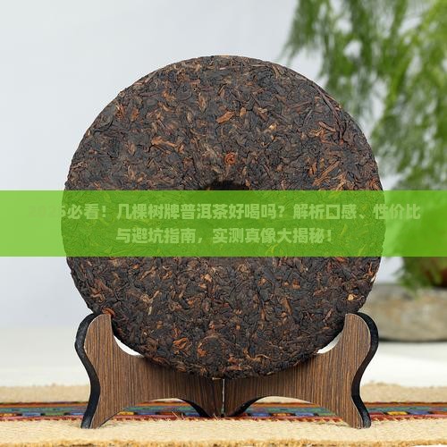 几棵树牌普洱茶好喝吗