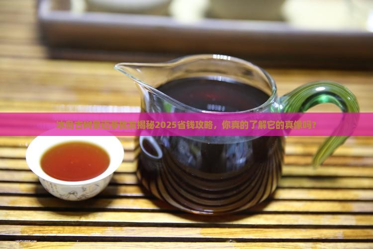 冰岛古树景迈茶批发