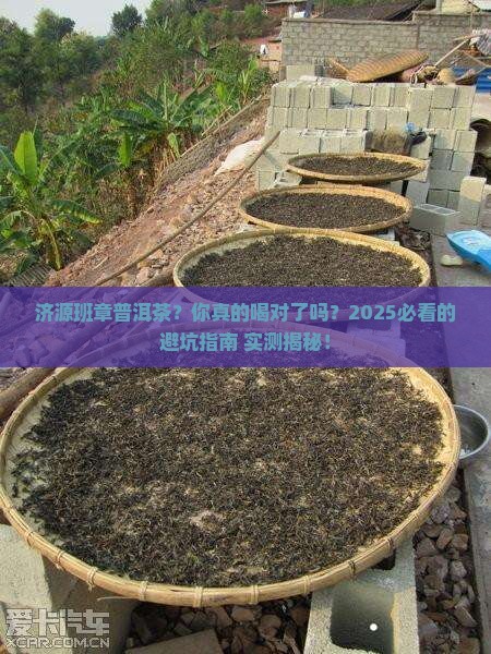 济源班章普洱茶