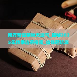 南方普洱茶秋天透气