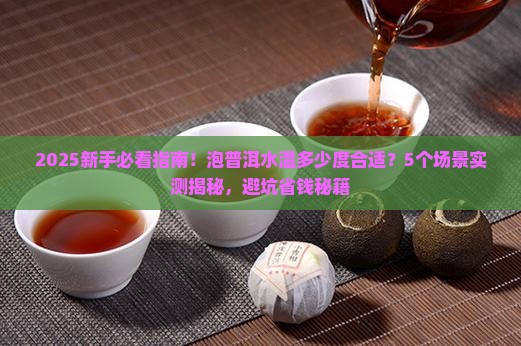 泡普洱水温普洱茶泡茶普洱茶温度