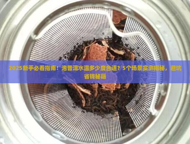 泡普洱水温普洱茶泡茶普洱茶温度