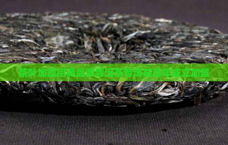 石雨益昌号普洱茶加盟