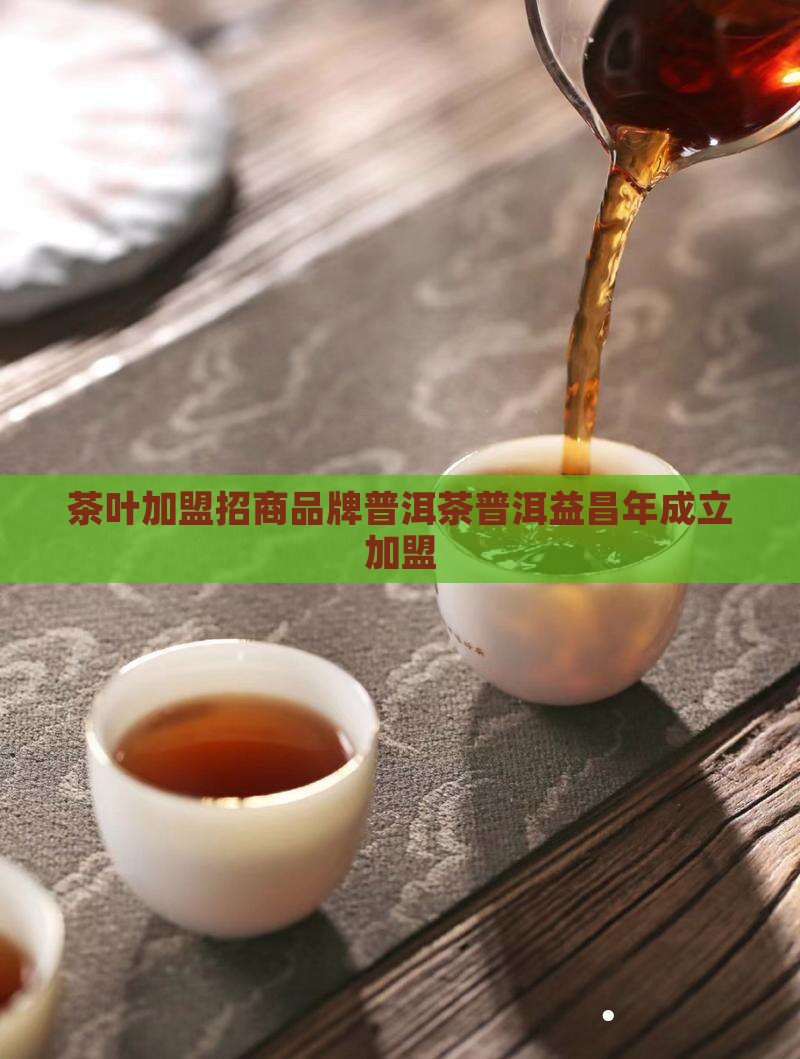石雨益昌号普洱茶加盟