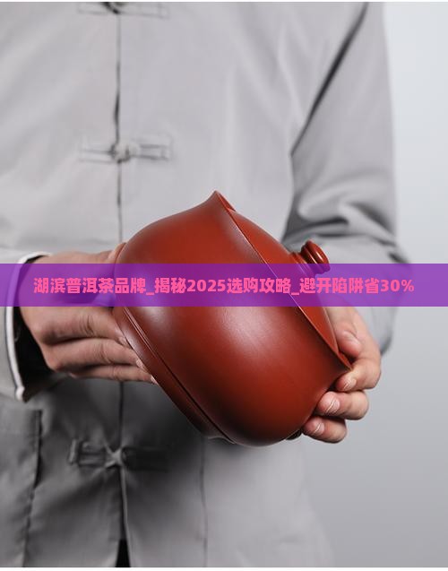 湖滨普洱茶品牌