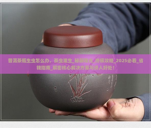 普洱茶瓶生虫怎么办