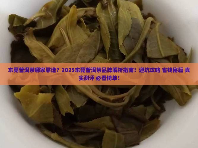 东莞普洱茶哪家靠谱