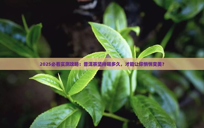普洱茶坚持喝多久可以美容