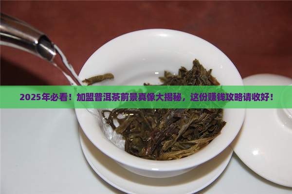 加盟普洱茶前景好不好