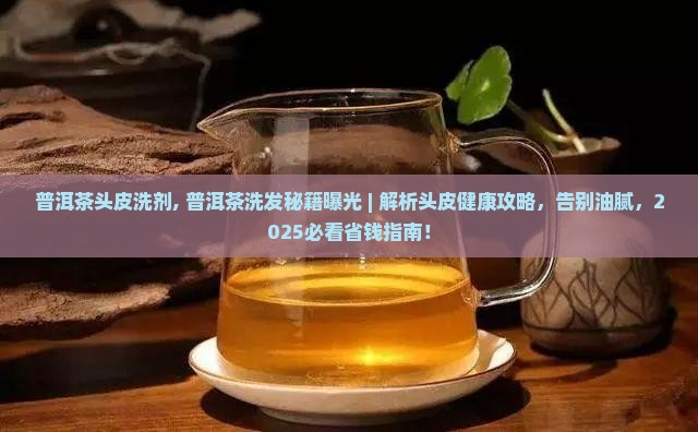普洱茶头皮洗剂
