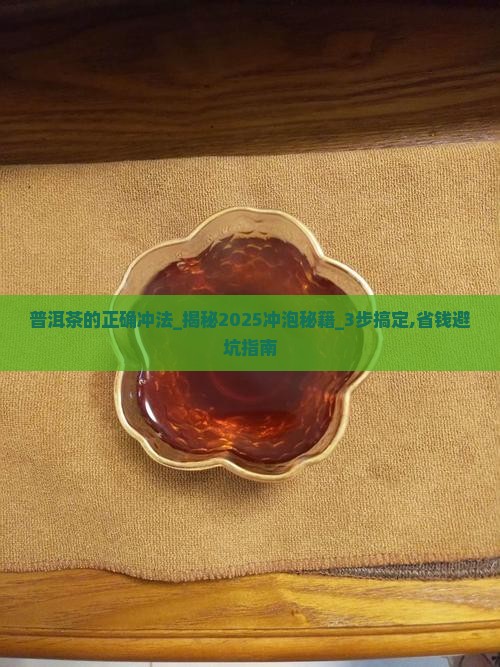 普洱茶的正确冲法