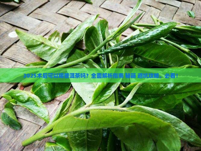 术后可以喝普洱茶吗