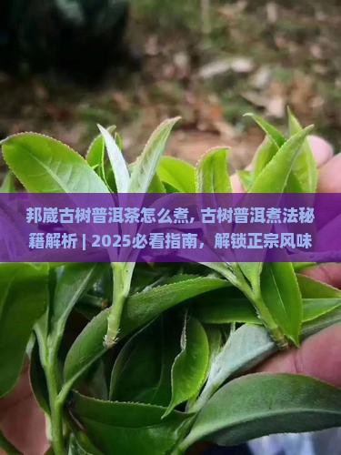 邦崴古树普洱茶怎么煮