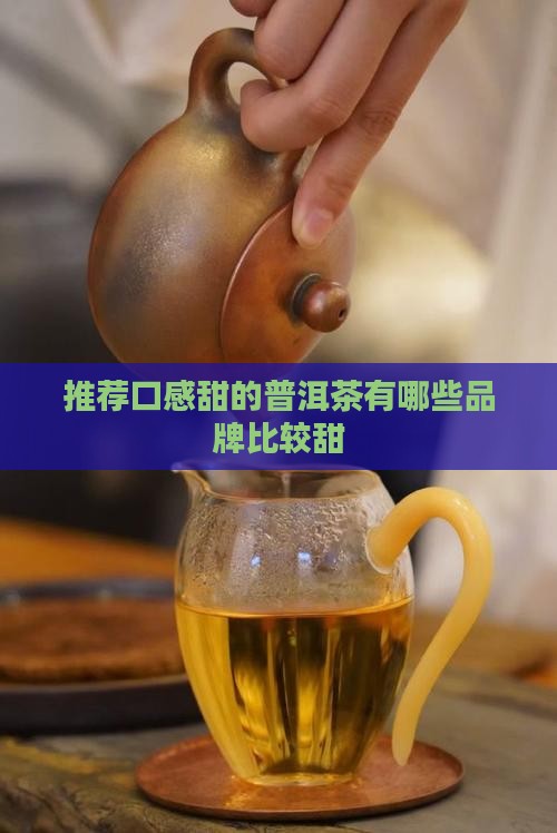 推荐口感甜的普洱茶