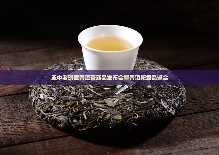 润亚中普老班章发布会